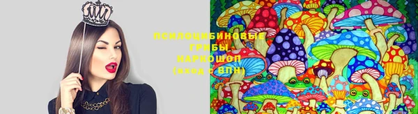 a pvp Бугульма