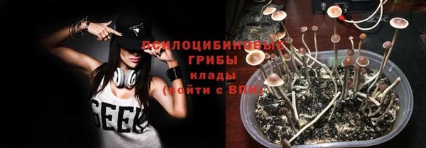 PSILOCYBIN Бронницы