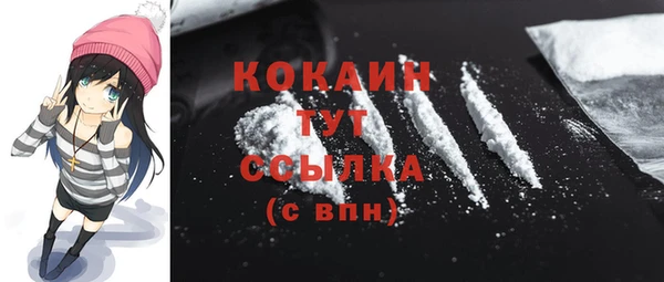 молекула духа Бородино