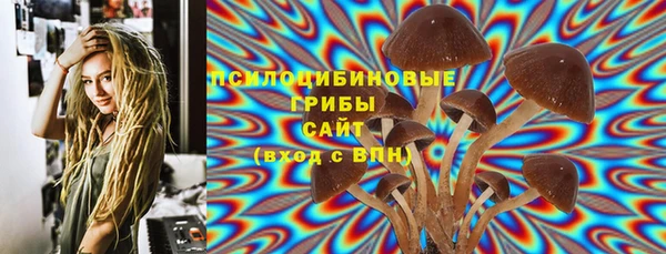 молекула духа Бородино