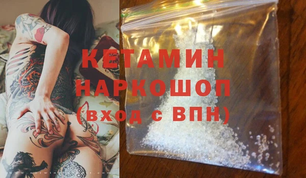молекула духа Бородино