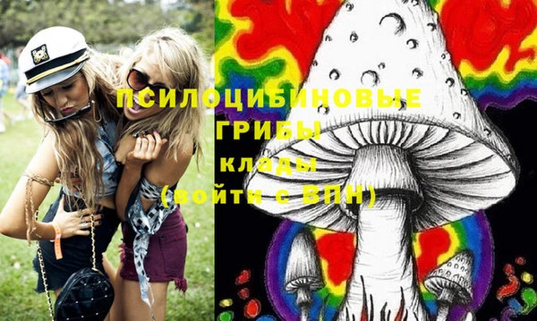молекула духа Бородино