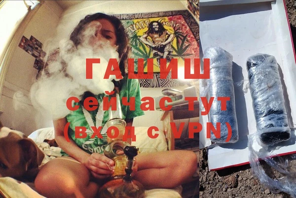 молекула духа Бородино