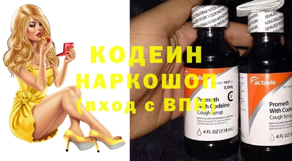 молекула духа Бородино
