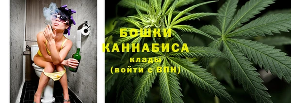 PSILOCYBIN Бронницы