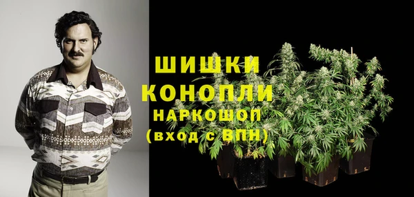 молекула духа Бородино