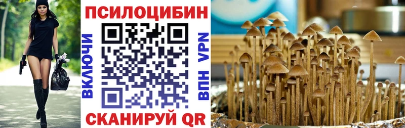маркетплейс телеграм  Иноземцево  Галлюциногенные грибы Psilocybine cubensis  как найти  